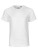 NE30001_White