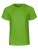 NE30001_Lime