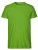 NE61001_Lime