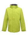 RG461_Keylime_Seal-Grey-(Solid)