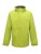 RG461_Keylime_Seal-Grey-(Solid)