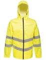 RG497_Yellow