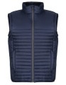 RG861_Navy