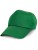 RH05J_Kelly-Green