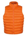 RT193_Orange