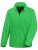 RT220X_Vivid-Green