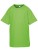 RT287J_Lime