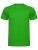 RY0425_Fern-Green-226