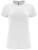 RY6683_White-01