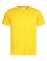 S140_Yellow