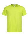S140_Bright-Lime