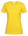 S141_Yellow