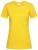 S141_Sunflower-Yellow