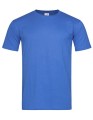 S2010_Bright-Royal