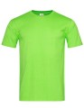 S2010_Kiwi-Green
