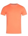 S9600_Salmon