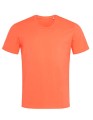 S9630_Salmon