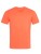 S9630_Salmon
