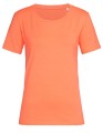 S9730_Salmon