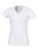 SF122_White