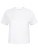SF237_White