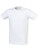 SFM121_White