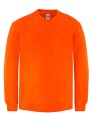 SW298_Orange