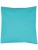 X1001_Turquoise-(ca.-Pantone-312)