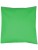 X1001_Apple-(ca.-Pantone-360)