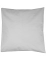 X1001_Pale-Grey-(Silver)-(ca.-Pantone-428)