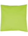 X1001_Lime-(ca.-Pantone-382)