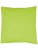 X1001_Lime-(ca.-Pantone-382)