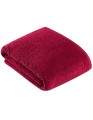 XF250B_Ruby