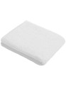 XF250BT_White
