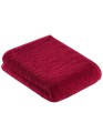 XF250D_Ruby
