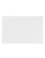 XF250G_White