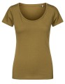 XO1545_Olive