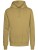 XO1680_Olive