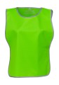 YK259_Lime