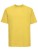 Z180_Yellow