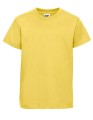 Z180K_Yellow