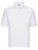 Z539_White