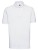 Z569_White