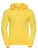 Z575N_Yellow