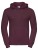 Z575N_Burgundy