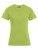 E3005_Wild-Lime