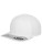 FX110_White