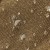 QD651-desert-sand-kosmetyczka-z-woskowanej-bawelny-QUADRA-Heritage-detail-1.jpg