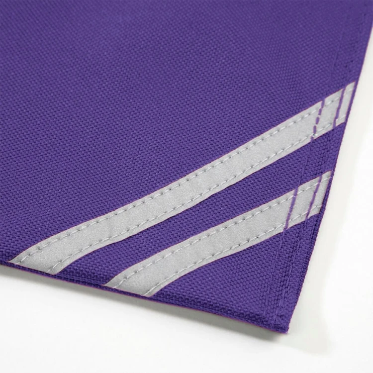 QD456-purple-teczka-z-odblaskiem-na-prace-plastyczne-QUADRA-Classic-detail.jpg