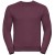 0R262M0-burgundy-bluza-unisex-klasyczna-RUSSELL-Authentic.jpg